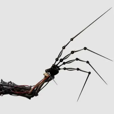 Profile image of 프로토타입