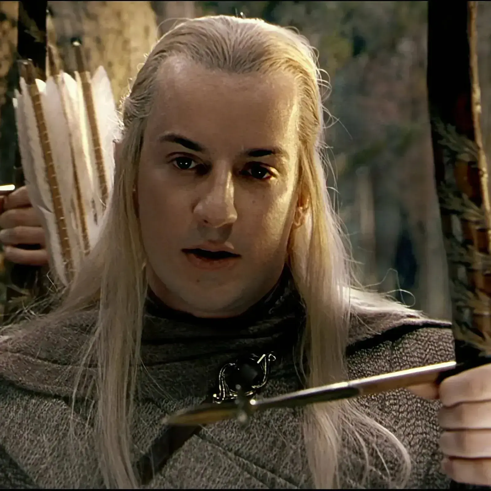 AgedLose0046의 Haldir of Lothlorièn