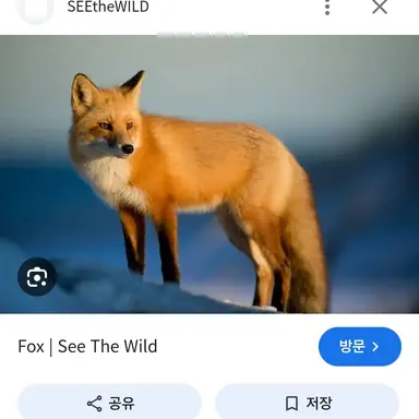 Profile image of 여우