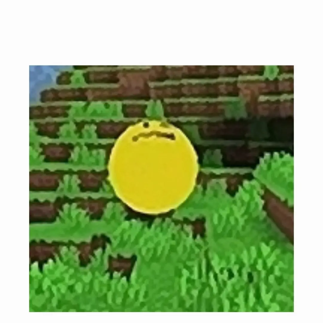 eeeejwwj의 써브티vs베리티