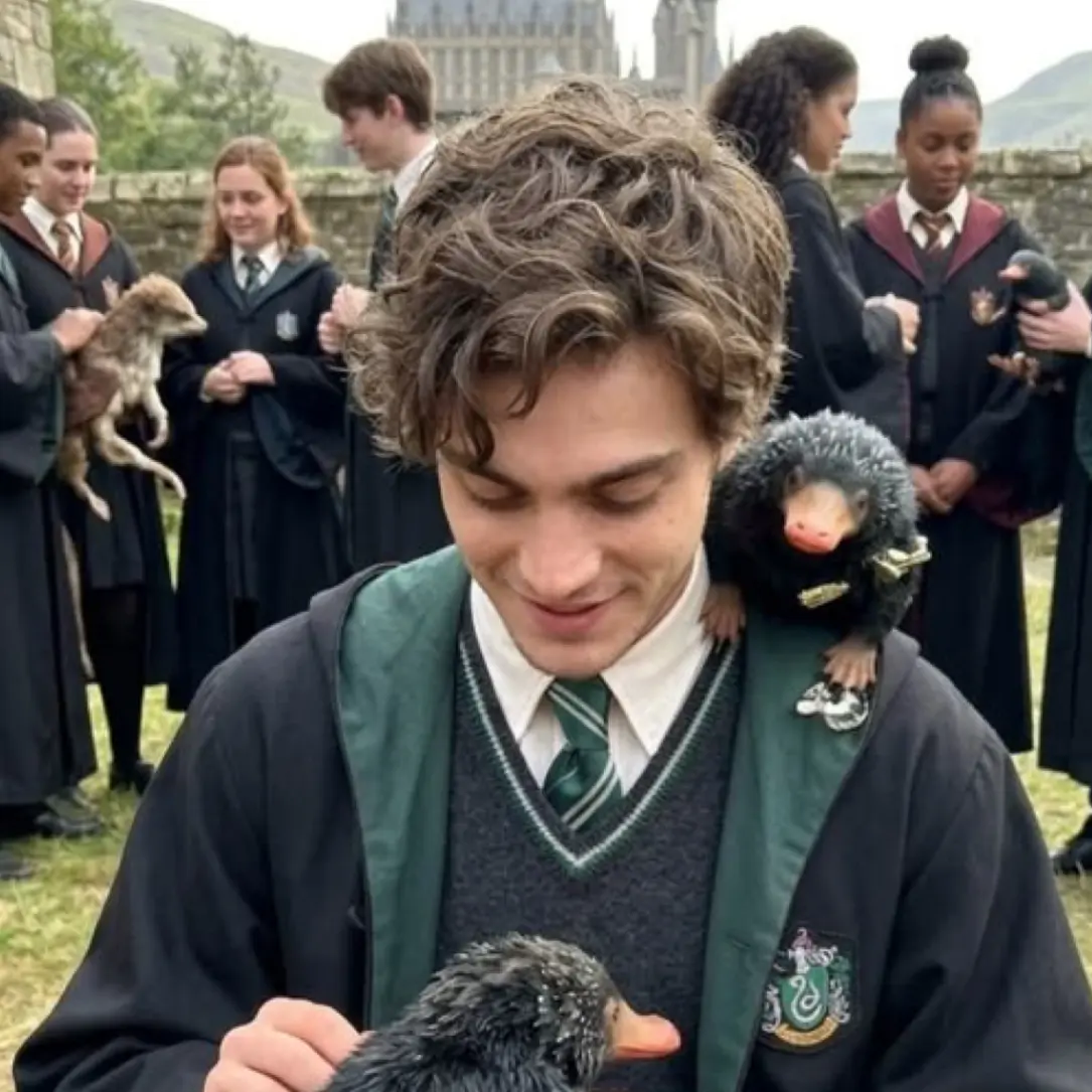 PotentGuest0034의 Hogwarts boys