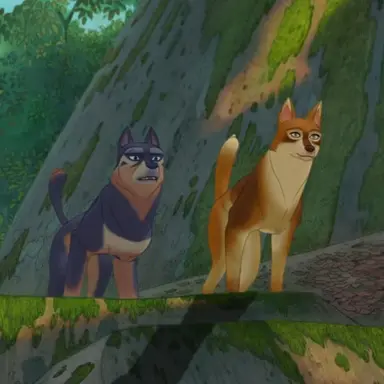 Profile image of 들개부부