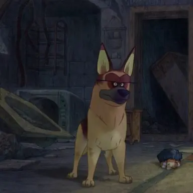 Profile image of 개코