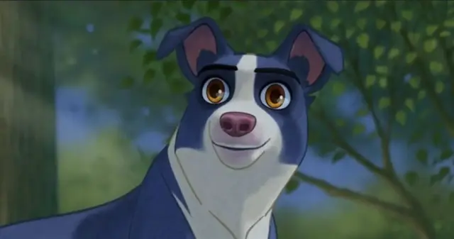 Profile image of 뭉치