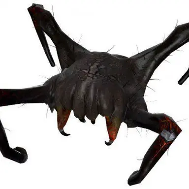 Profile image of 포이즈