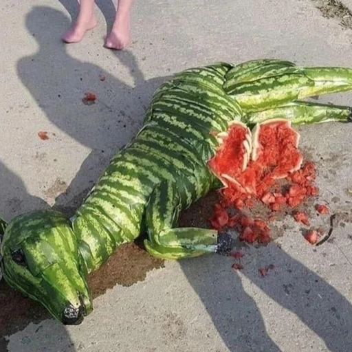 수박고라니
