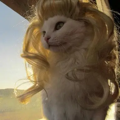 Profile image of 프린세묘