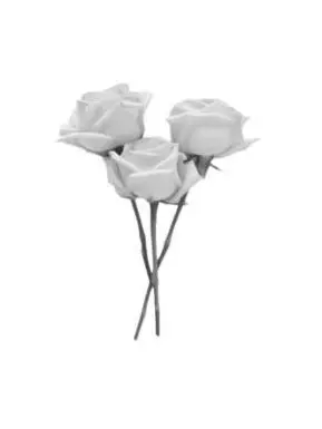 rn_.s2._o0의 もしも、君が振り向いてくれたら。