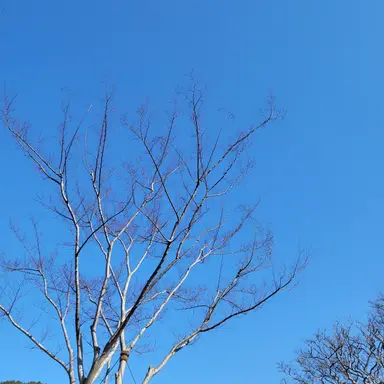 Profile image of 루화