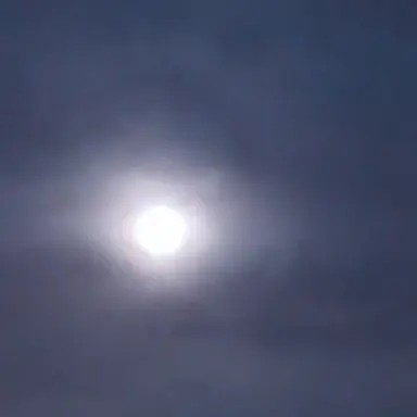 Profile image of 幻想郷の住民