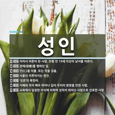 Profile image of 나레이션