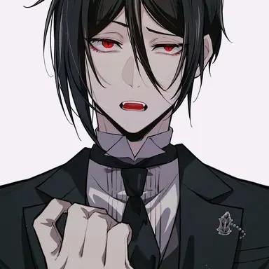 Profile image of Sebastian Michaelis