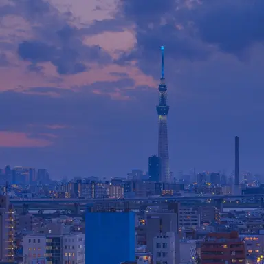 Profile image of 티푸