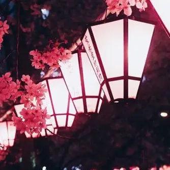 Profile image of 밥풀