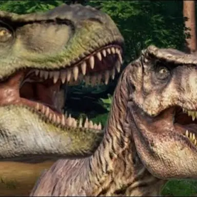 Profile image of 버크 도우