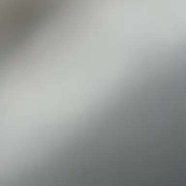 Profile image of 키마