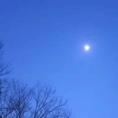 Profile image of 고2 비투비