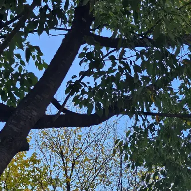 Profile image of 이민혁