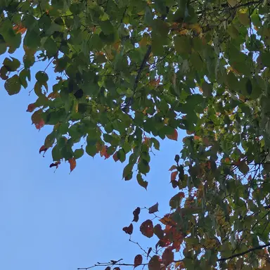 Profile image of 서은광