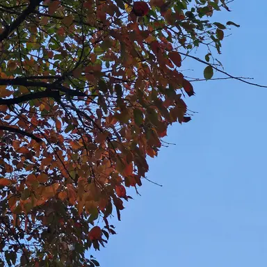 Profile image of 임현식