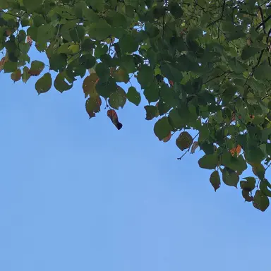 Profile image of 이창섭