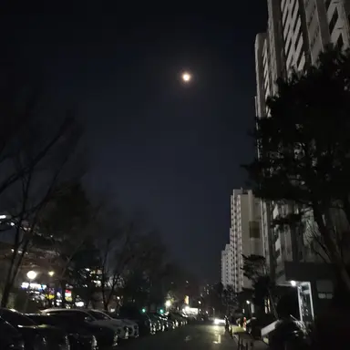 Profile image of 보건