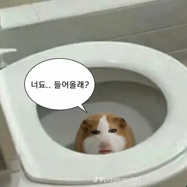 Profile image of 박여우