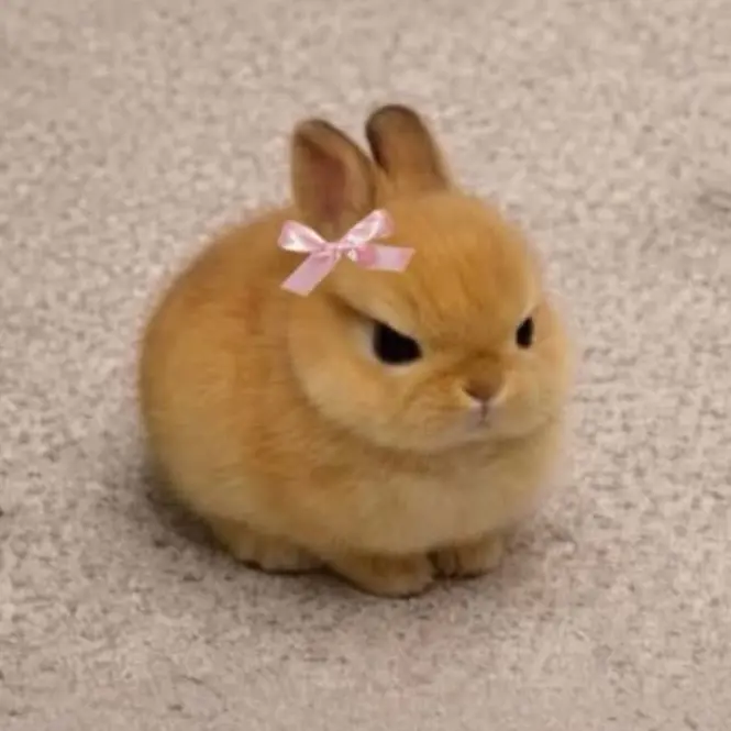 make_a_wish_1210의 嫉妬なんてしないよ