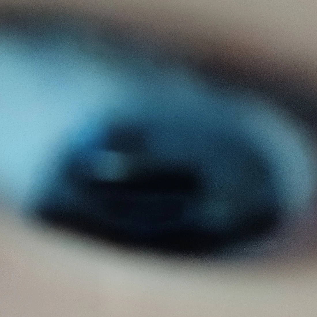 오승철 진압 작전.