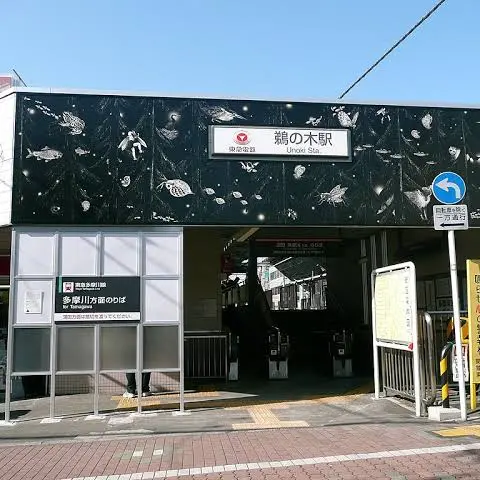 FullDouc3158의 領域展開