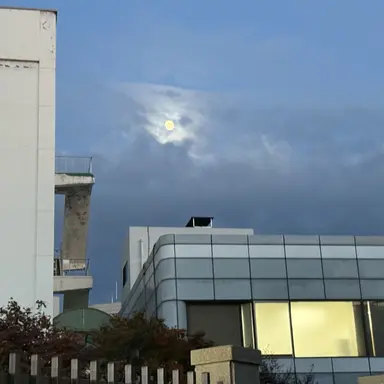 Profile image of 최연준