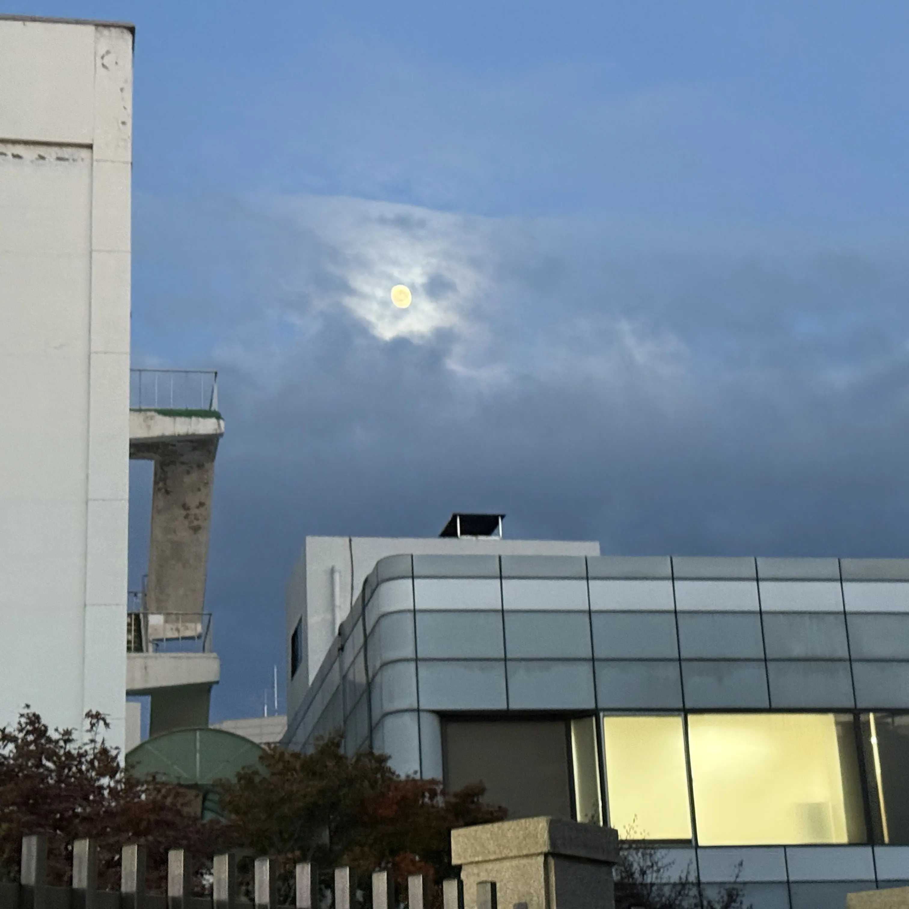 NimbleDuvet6665의 투바투 좀비사태