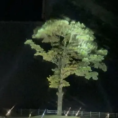 Profile image of 최수빈