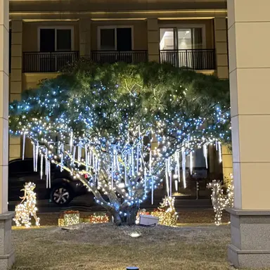 Profile image of 강태현