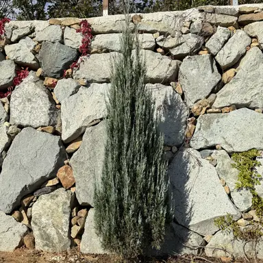 Profile image of 최범규