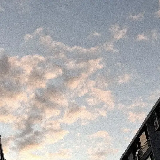 BareHost1625의 옥색 눈에 비친 허무 [인권유린상자]