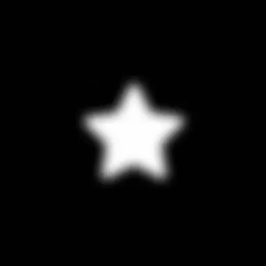 Profile image of Uri