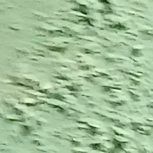 Profile image of 수현