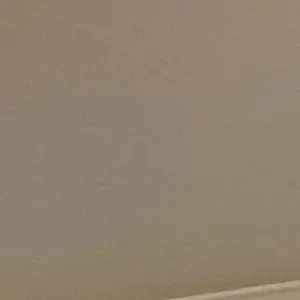 Profile image of 공룡