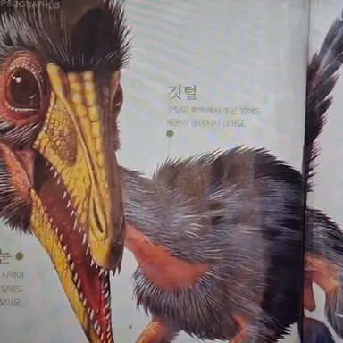 Profile image of 콤프소그나투스