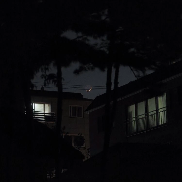 한지성