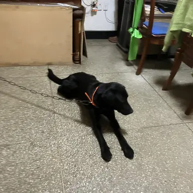 Profile image of 여름이