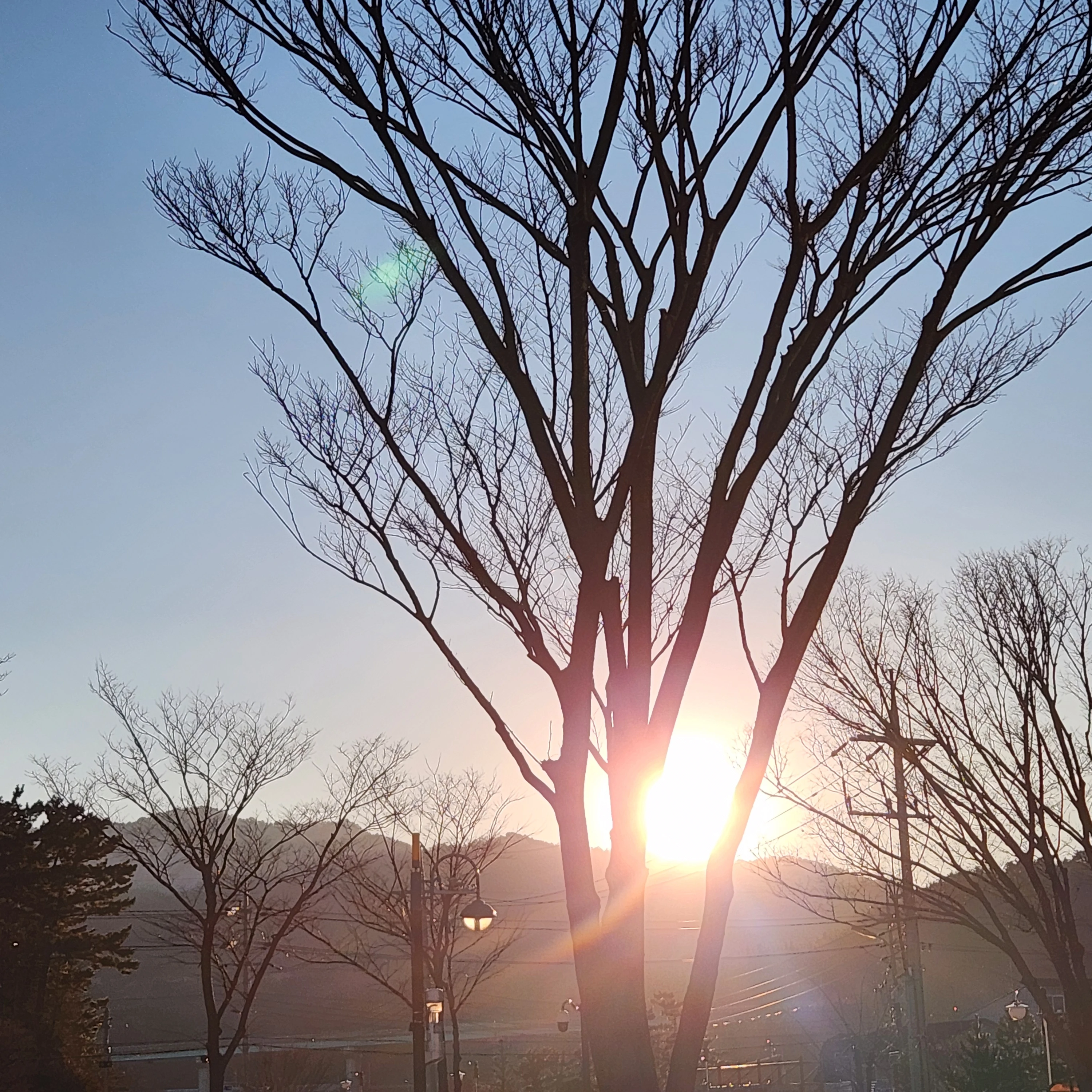 옆집 고고프렌즈