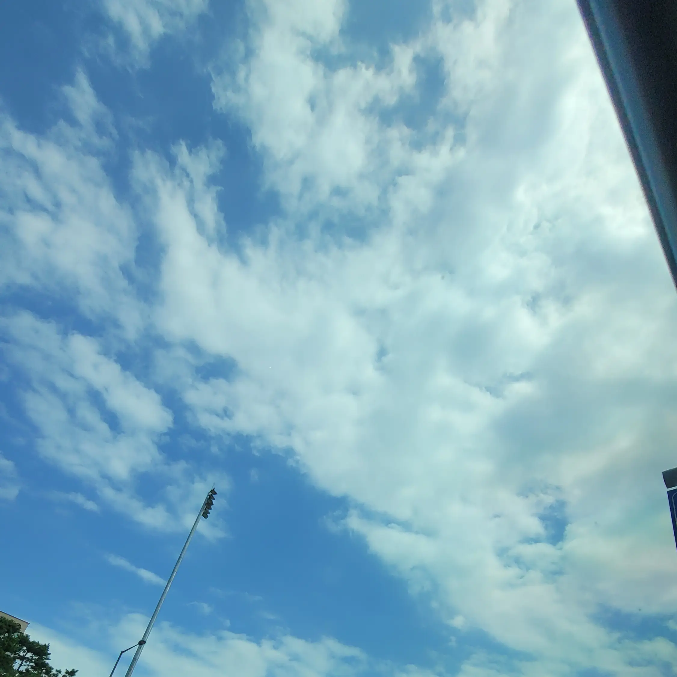UNI.T.dreamelf의 리레의 일상