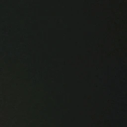 윤우