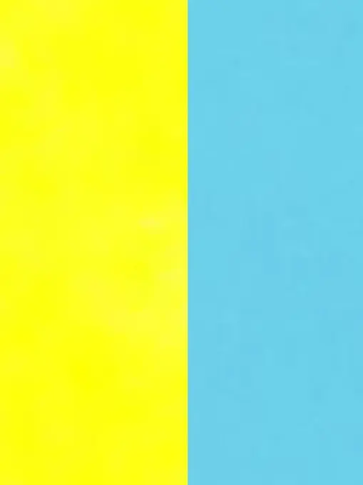 Katatsumuri의 でられないの？？