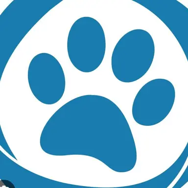 Profile image of 라이