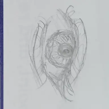 Profile image of 아르민