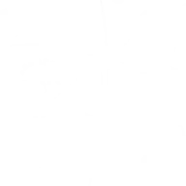 Profile image of 리롤
