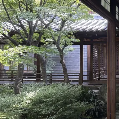 Profile image of 佐伯 菊